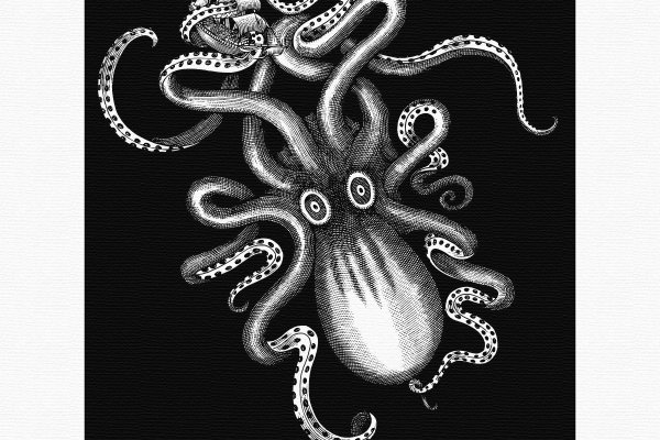 Kraken kraken dark link