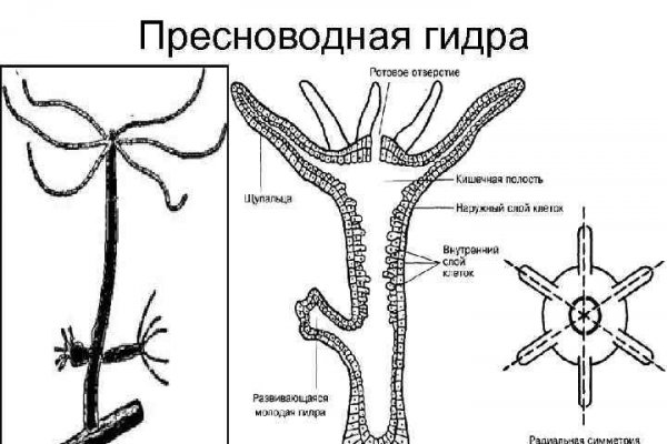 Пользователь не найден кракен
