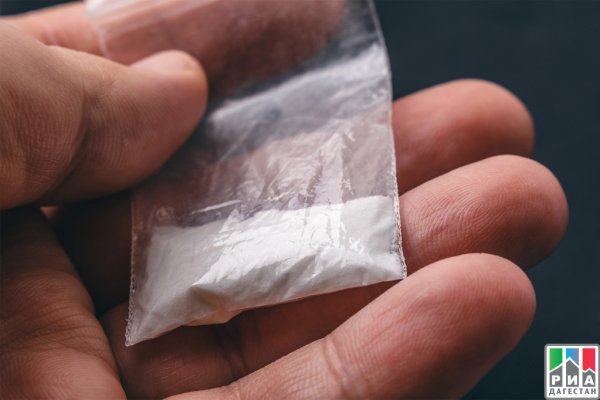 Darknet как войти