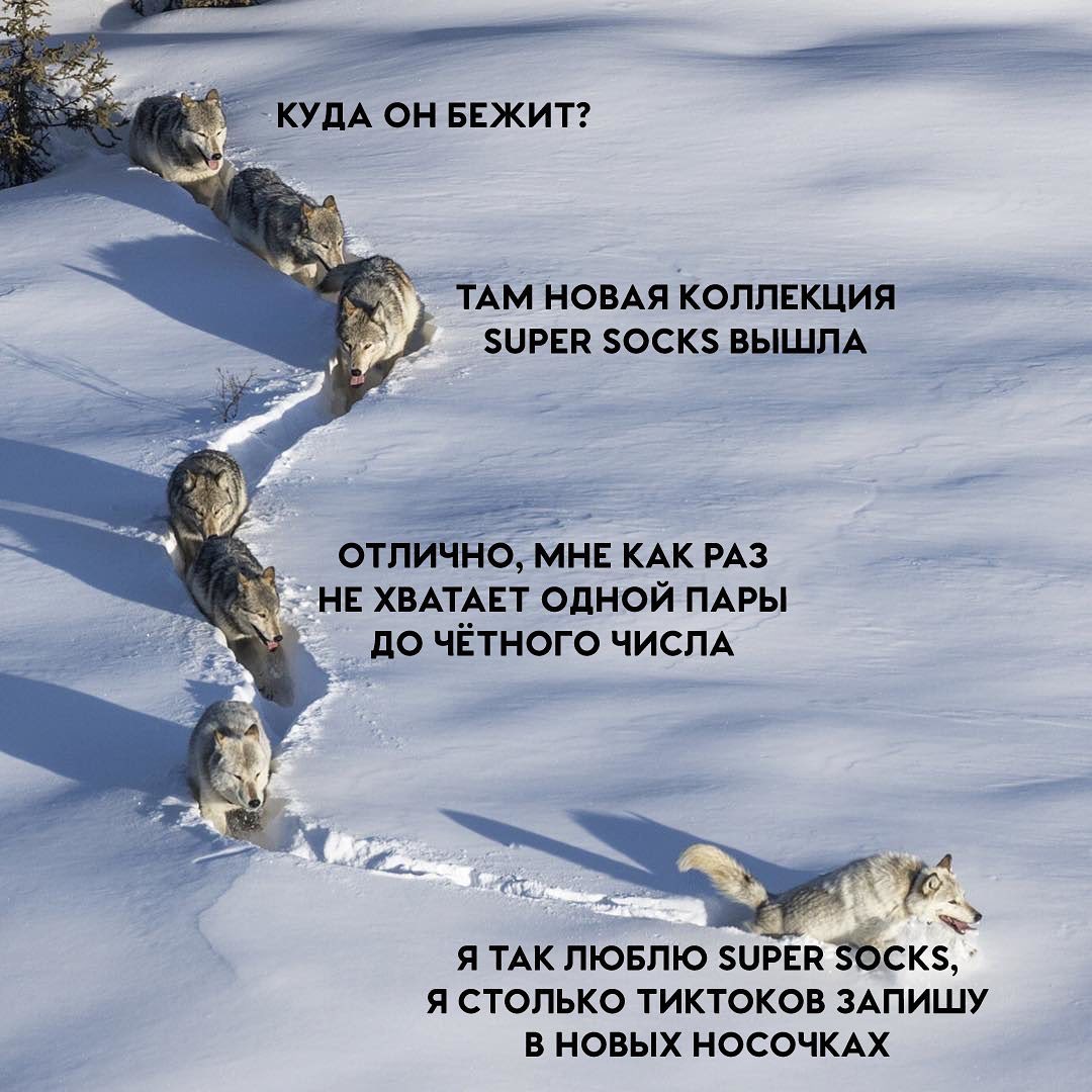 Даркнет сайт скачать